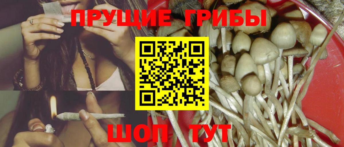 Удомля  Псилоцибиновые грибы Psilocybe  купить  сайты  Вход с VPN 